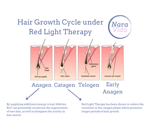 Revitalize Your Hair: The Science Behind Red Light Therapy and Massage for Hair Loss