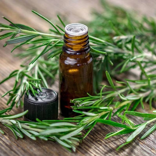 Rosemary Oil - Scientifically promotes hair growth